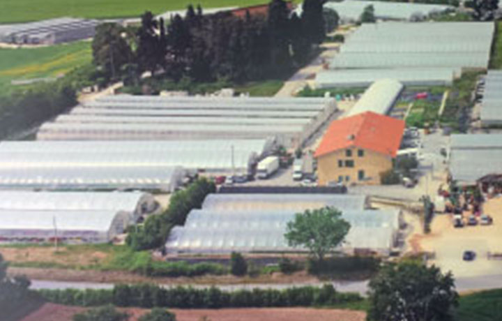  AZIENDA AGRARIA CIUCCIOVÈ 