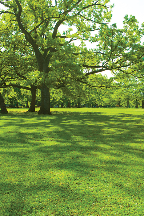 Sommerpark